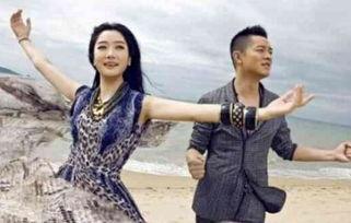 娱乐吃瓜酱凤凰传奇,揭秘凤凰传奇背后的故事与传奇